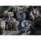 Anne Stokes - Wolf Collage