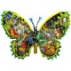 Butterfly Migration - Shaped