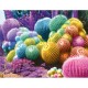 Cactus Rainbow
