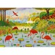 Caribbean Flamingos