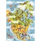 Cartoon Collection - USA