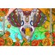 Colorful Elephant