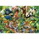 Colorful wildlife