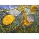 Dandelion Fairy
