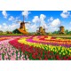 Dutch Windmills, Netherlands