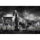 Fall of Troy