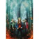 Fate The Winx Saga