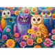Flower Owl Meeting