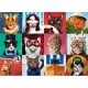 Funny Cats