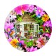 Garden Shed in Flower
