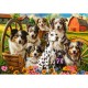 Happy Dogs In The Countryside