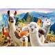 Llamas Selfie