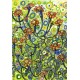 Mexican Sunflowers