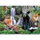 National Parks - Shenandoah