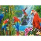 Parrot Meeting