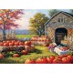 Pumpkins for Sale