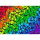 Rainbow Butterflies