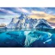 Save our Panet Collection - Arctic