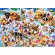 Selfie Pet Collage