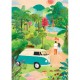 Summer Trip