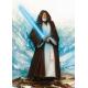 The Jedi Master