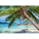 Tropical Beach