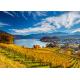 Vineyards