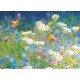 Visiting the Meadow