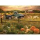 Harvest Time