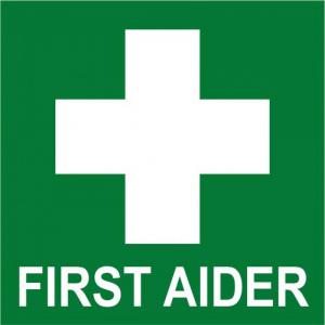 Safety First Aid First Aider Helmet Sticker S3011PK10