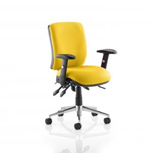 Chiro Medium Back With Height Adjustable Arms Bespoke Colour Back and