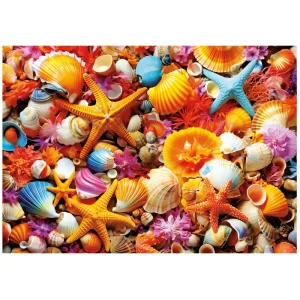 Educa Puzzle Shell Collage - 1000 pieces