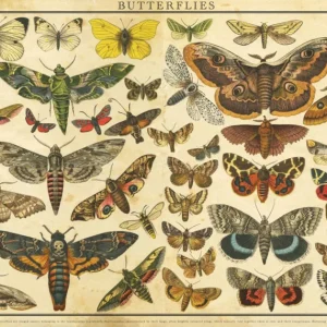 Interdruk Puzzle Vintage Nature - Butterflies - 2000 pieces