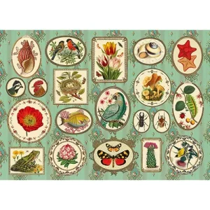 Kiub Puzzle Naturalist - 1000 pieces