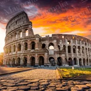 Magnolia Puzzle Rome - 1000 pieces