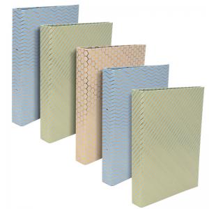 Pukka Haze A4 Ringbinder Files 5 Assorted 9889AST-HZE