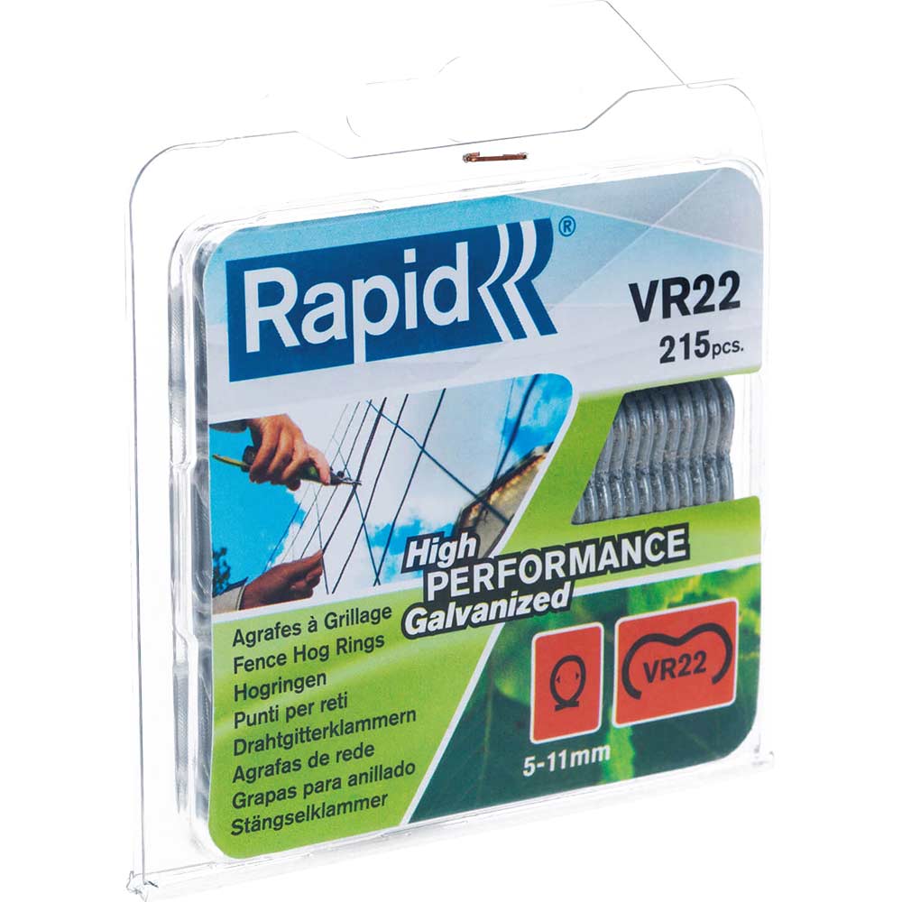 Rapid