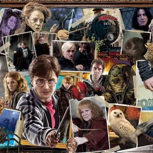 Ravensburger Puzzle Harry Potter (TM) - 1000 pieces