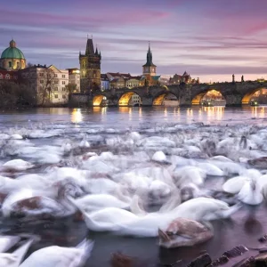 Schmidt Spiele Puzzle Christian Ringer - Prague - 1000 pieces