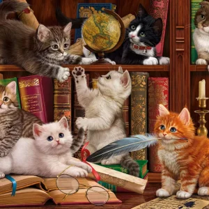 SunsOut Puzzle Library Kittens - 1000 pieces