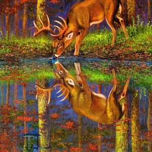 SunsOut Puzzle What Lies Below? - 1000 pieces