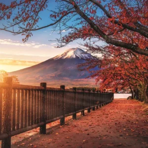 Trefl Puzzle Photo Odyssey: Mount Fuji , Japan - 1000 pieces