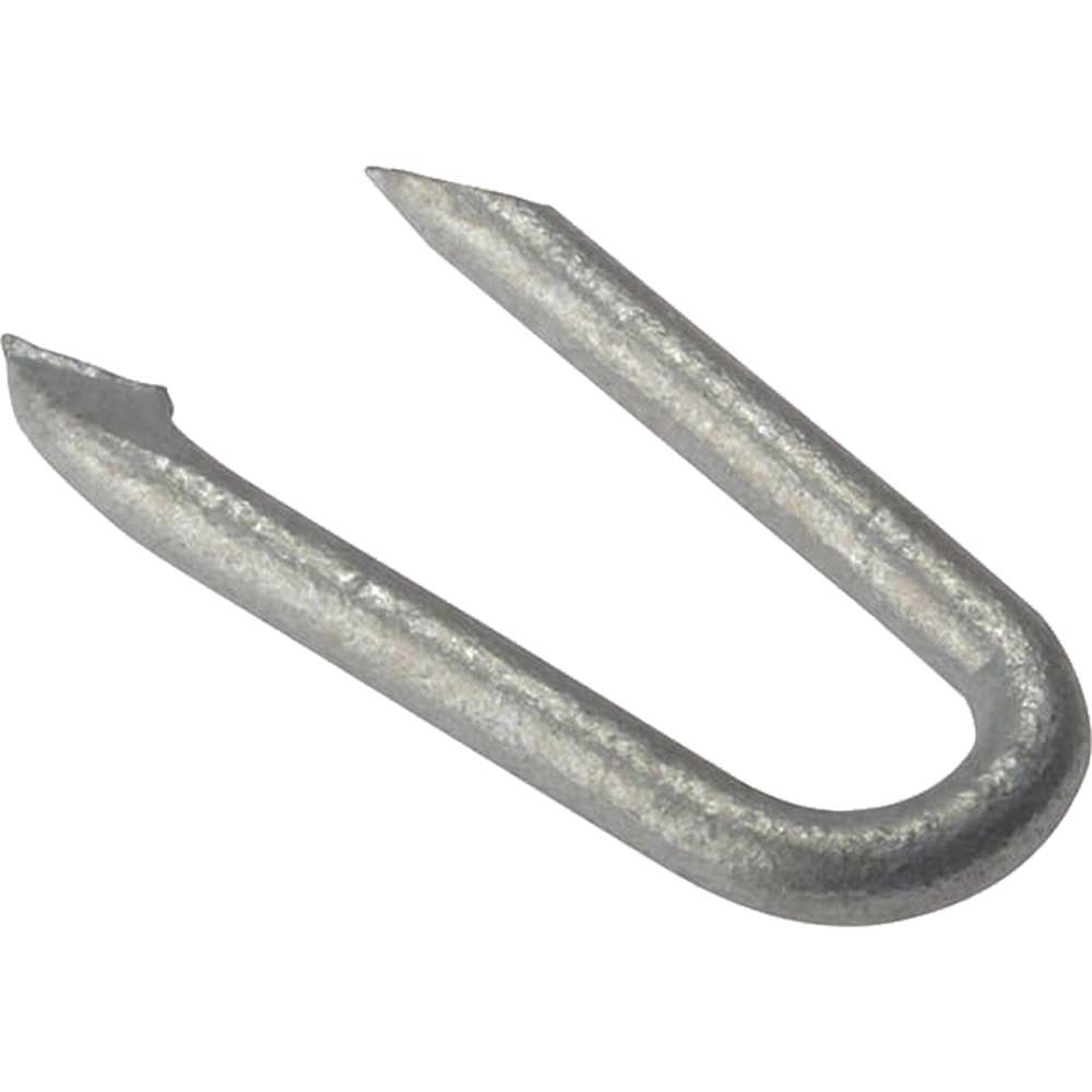 Forgefix Galvanised Netting Staples 20mm 500g