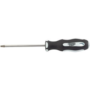 Draper Expert Torx Screwdriver T20 100mm