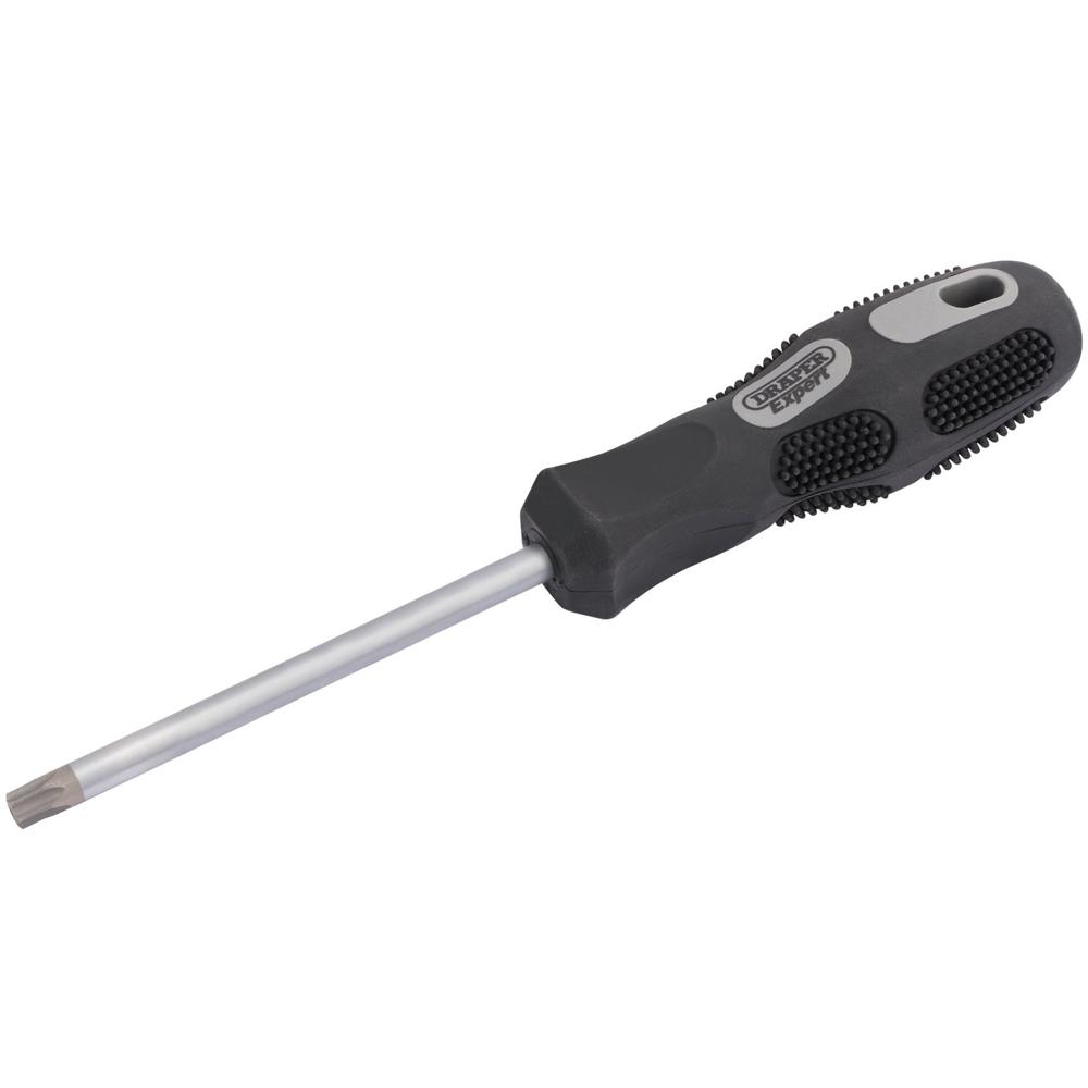 Draper Expert Security Torx Screwdriver