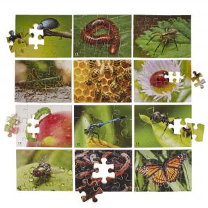 Mini Beasts Puzzles